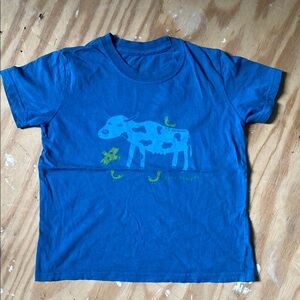 Patagonia Blue Short Sleeve Tee